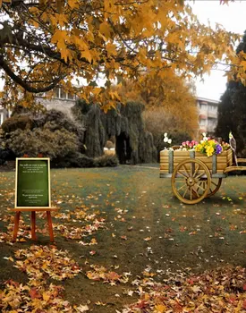 5x7ft Жълти листа Дърво Есен снимки на декори, реквизит за снимки студиен фон